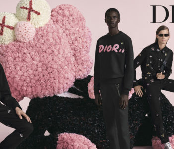 KAWS BFF - Dior Homme