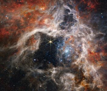 Il telescopio spaziale Webb ha scattato nuove immagini della Nebulosa Tarantola